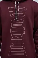 Burgundy Hoodie Drawstring Long Sleeve Polyester Imported(Burgundy,S)