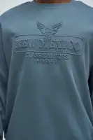 Crew Neck Long Sleeve Dusty Blue Cotton Polyester Imported Top(Dusty Blue,S)