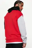 Big & Tall Hooded Drawstring Ribbed Cuff Hem Colorblock Printed Sweatshirt(Red,S)