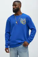 Navy Hooded Drawstring Long Sleeve Front Button Closure Casual Jacket(Royal,S)
